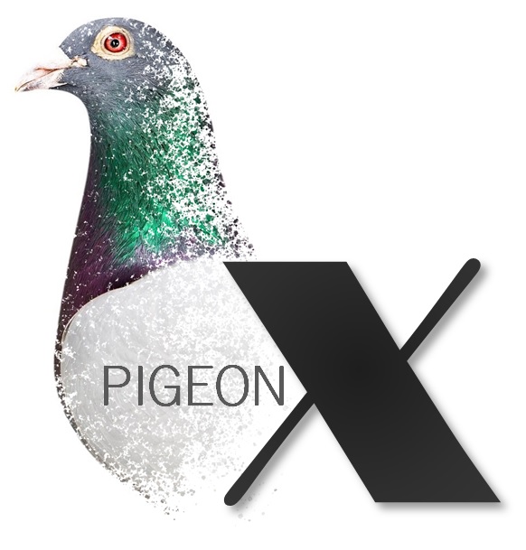 PigeonX Logo